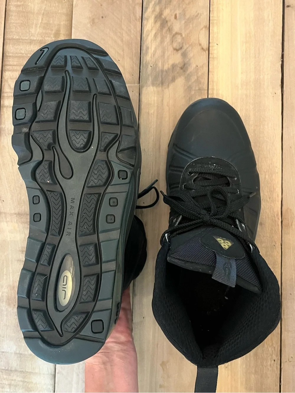 Nike ACG nike air